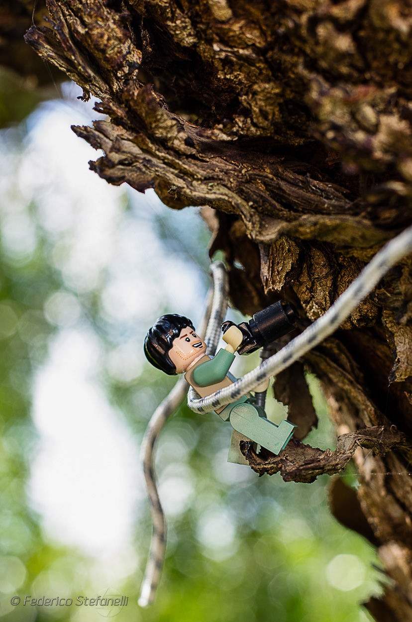 Fotografo scalatore di alberi