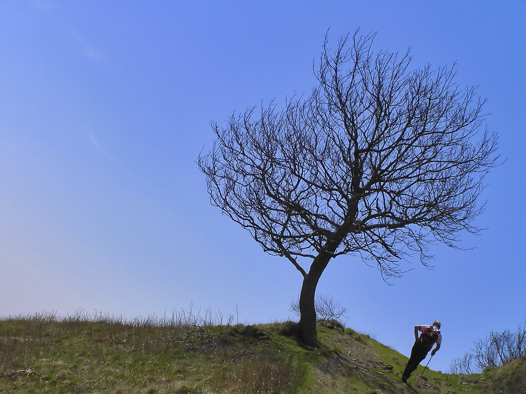 Cerco un senso di gravit�....