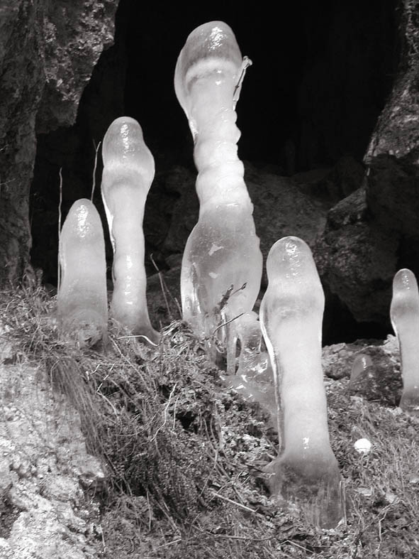 Sculture di ghiaccio