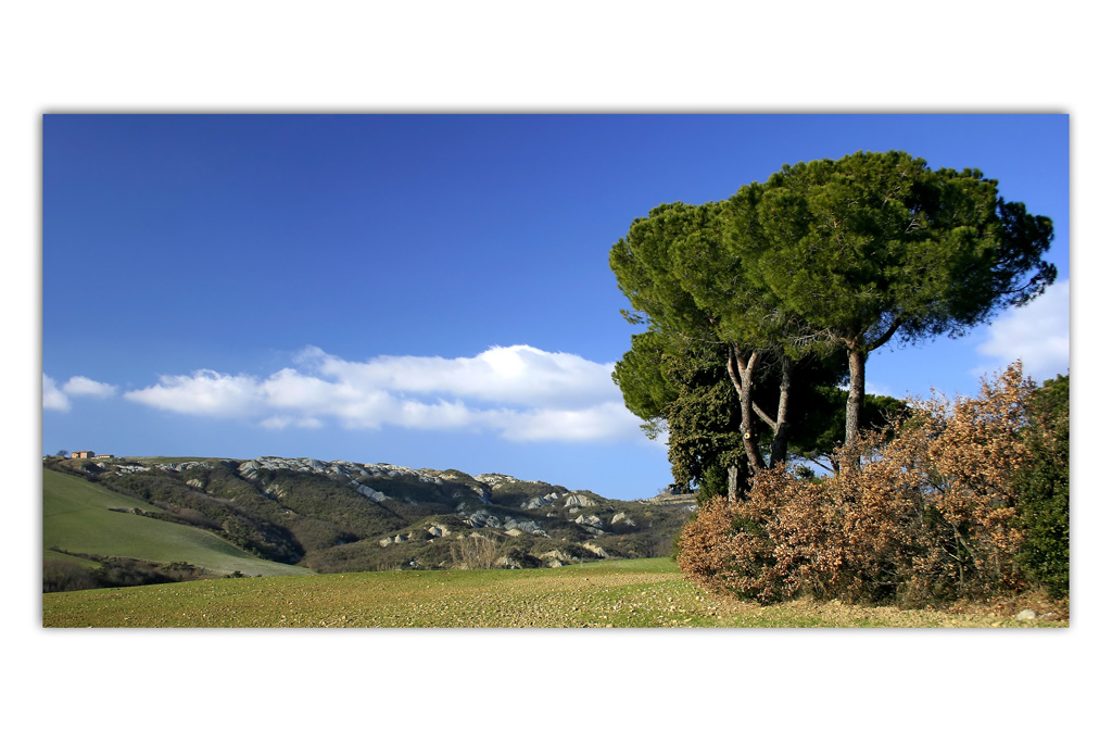 Campagna Toscana