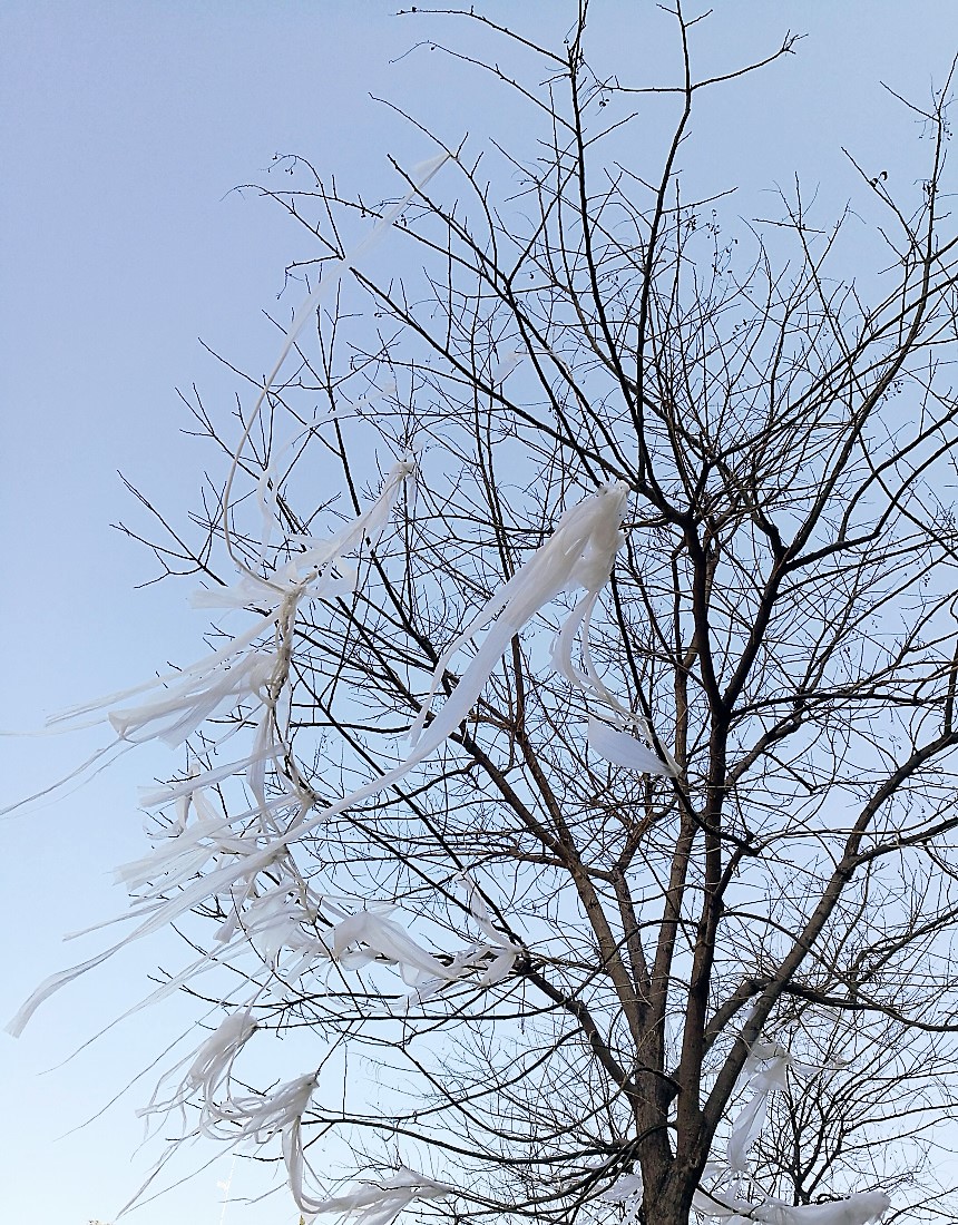 Legami indissolubili