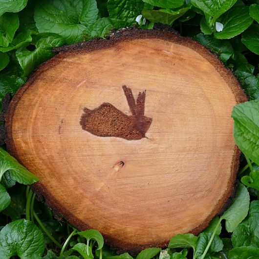 *** Wood Rabbit***