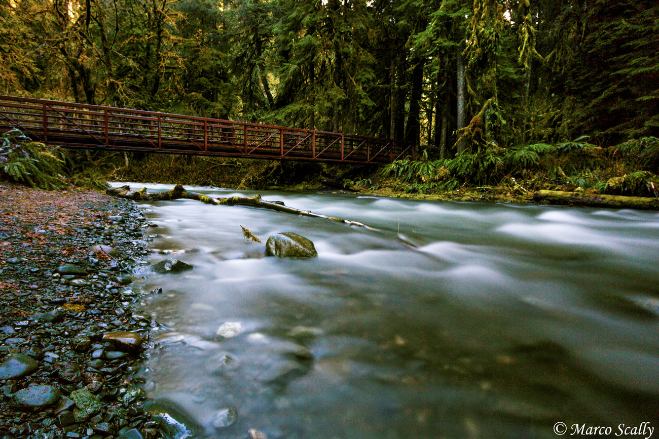 The river and the bridge