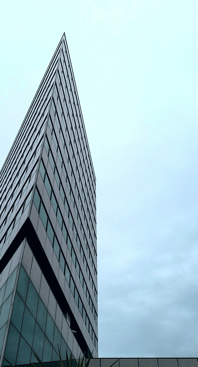 L. (Ovvero Punti di vista)