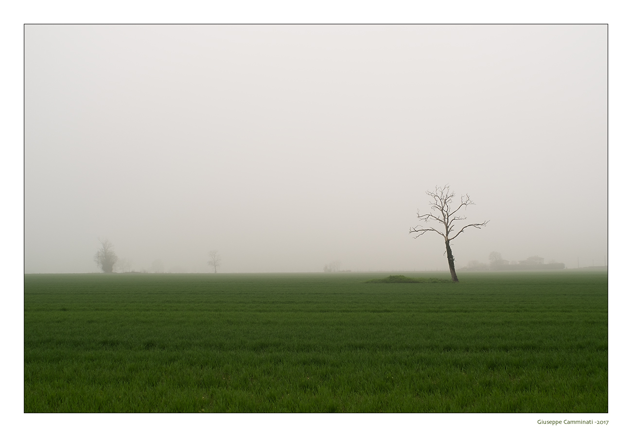 Il naufrago - Monotonie padane