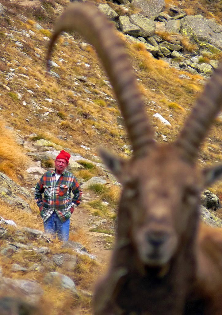 Ritratto di montagna