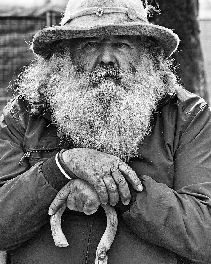 Sfilata carri - ritratto