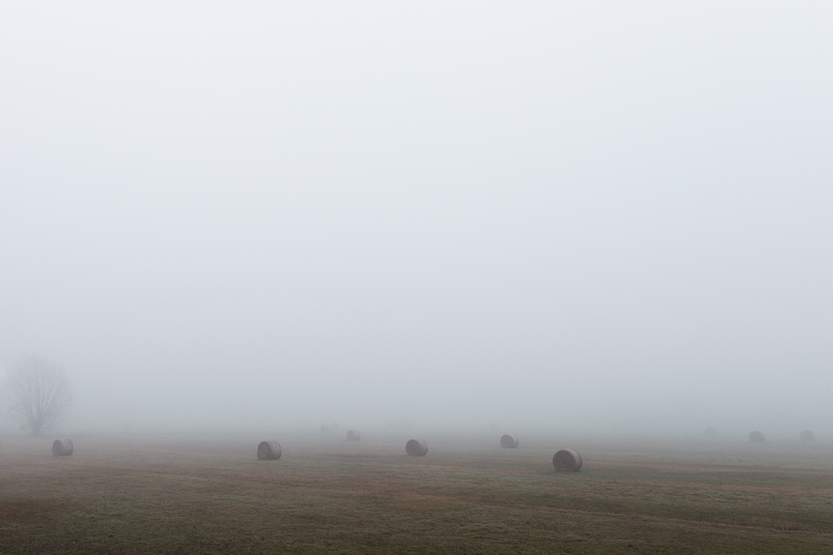 Rotoballe nella nebbia - Monotonie padane
