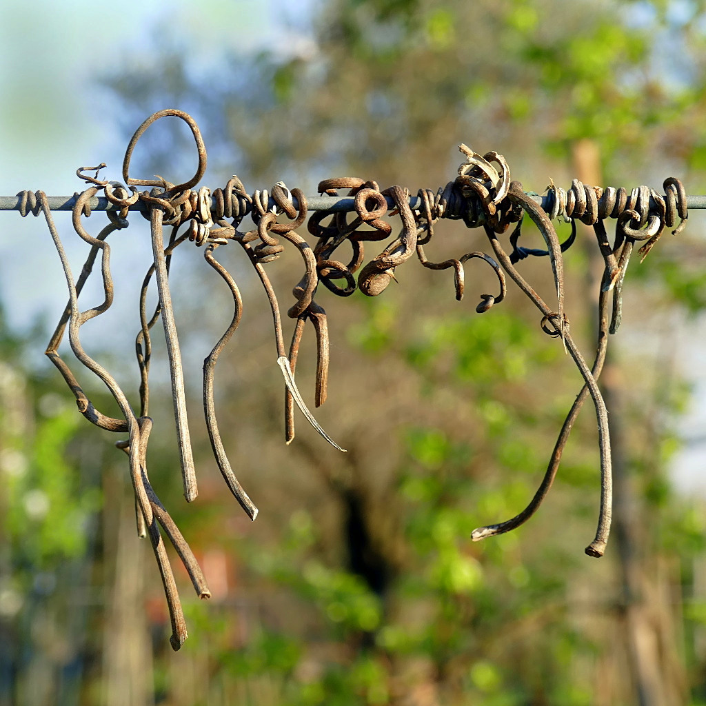 ***Posatoi in saldo***