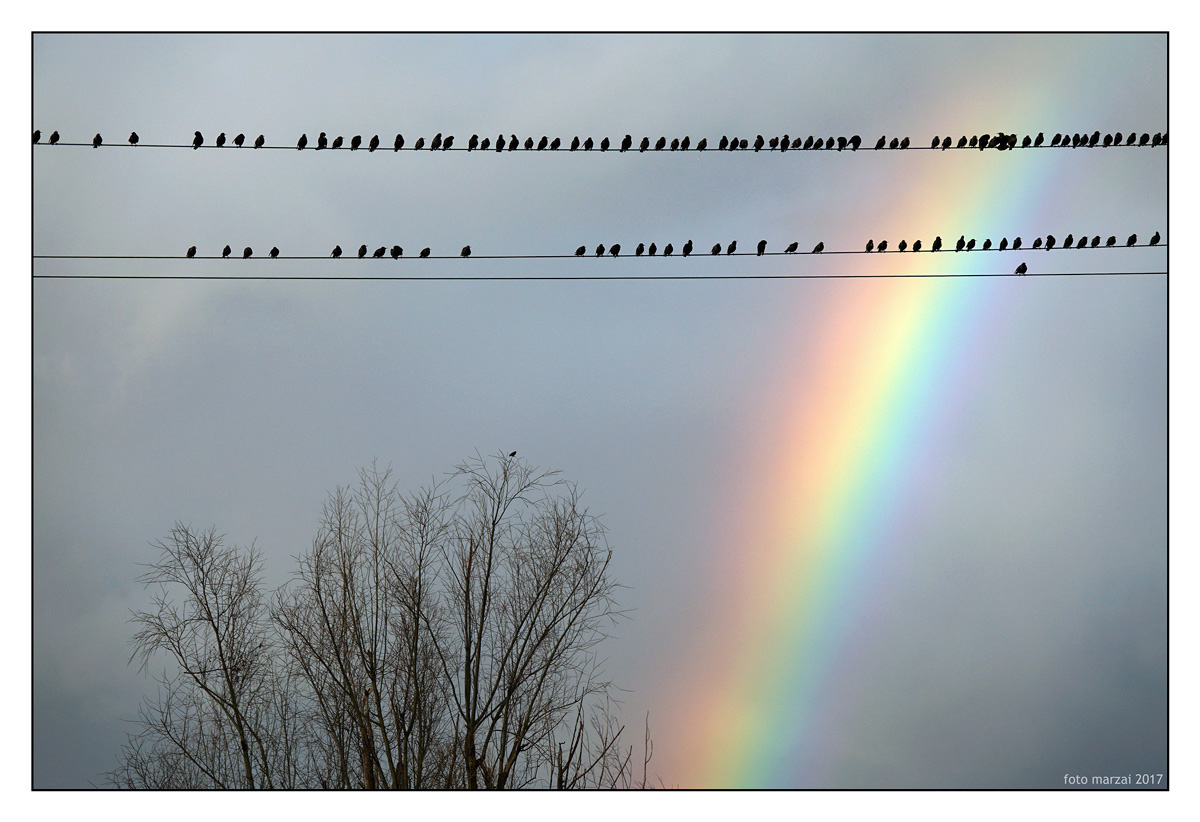 quel che gli occhi non dicono