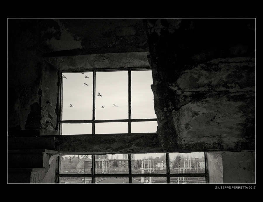 Sant'Agabio - Novara