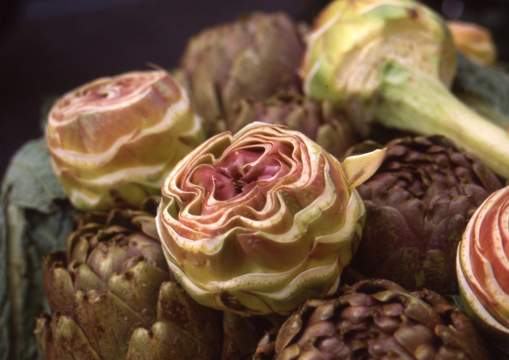 still life (ingrandita)