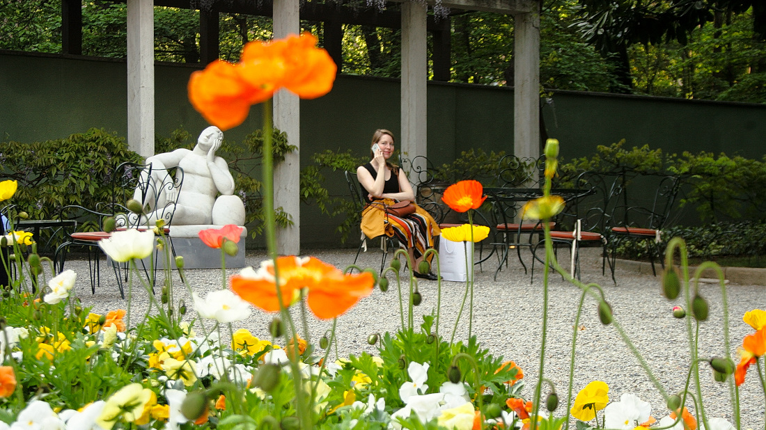 Mentre fotografavo fiori....