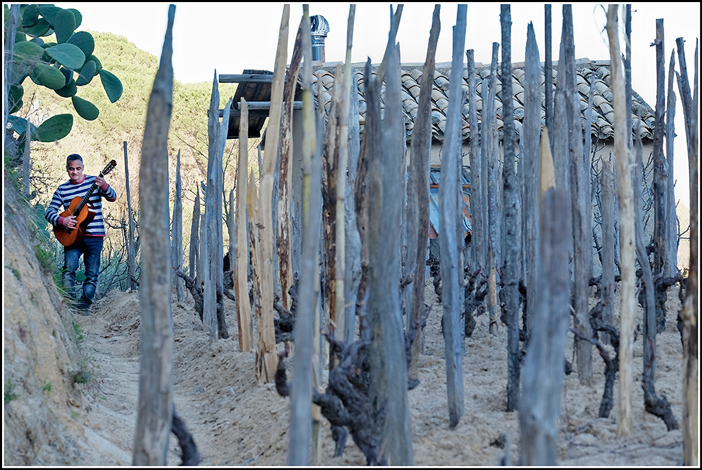 Una serata con Peppino