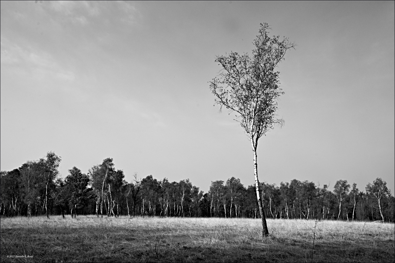 Le Baragge di Romagnano Sesia