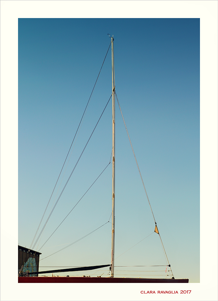 Il moro...di Venezia