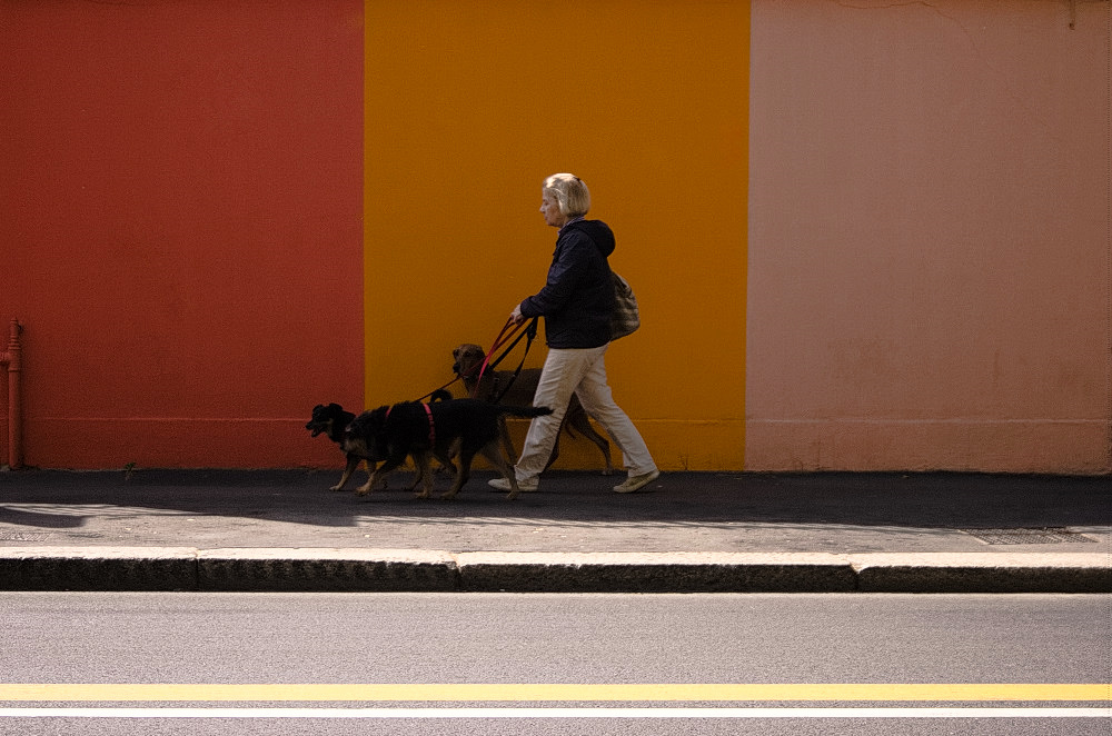 Quel pomeriggio di un giorno da cani