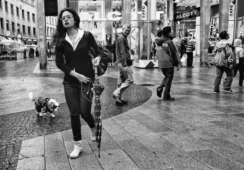 Ognuno per la sua strada