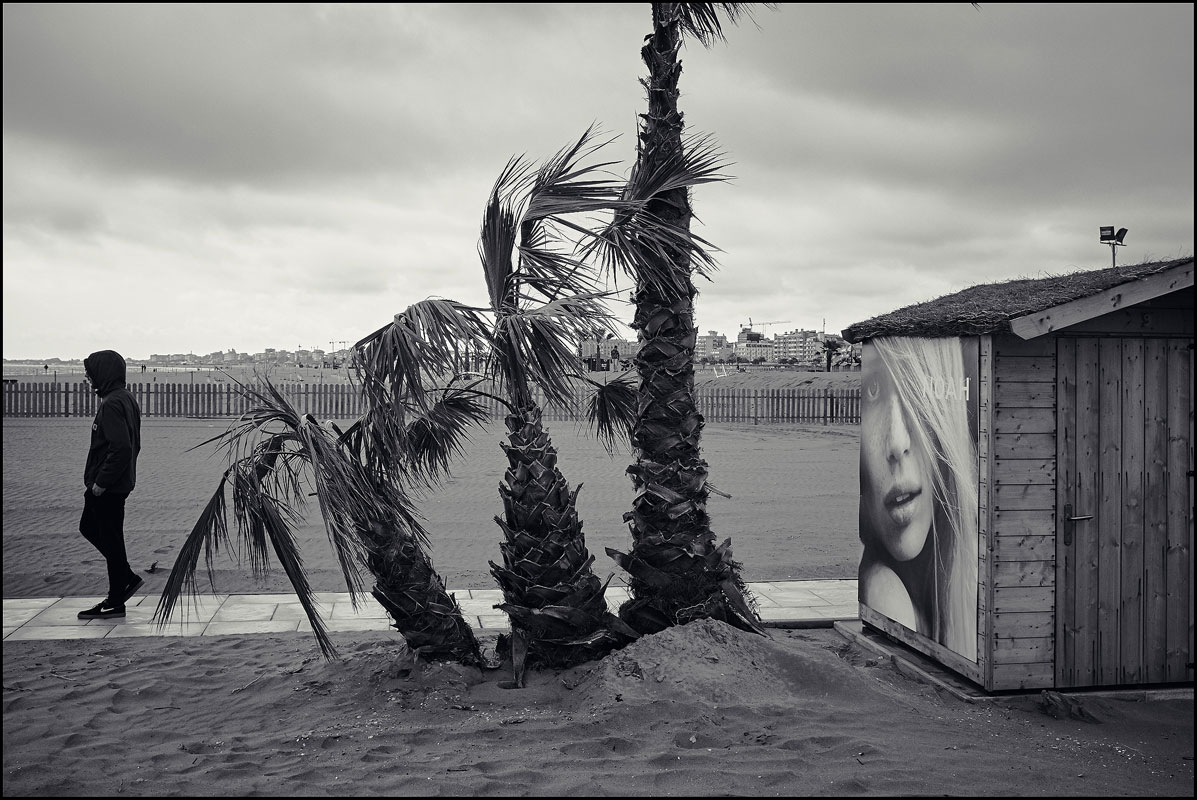 20170424-0379. Chioggia, Sottomarina.