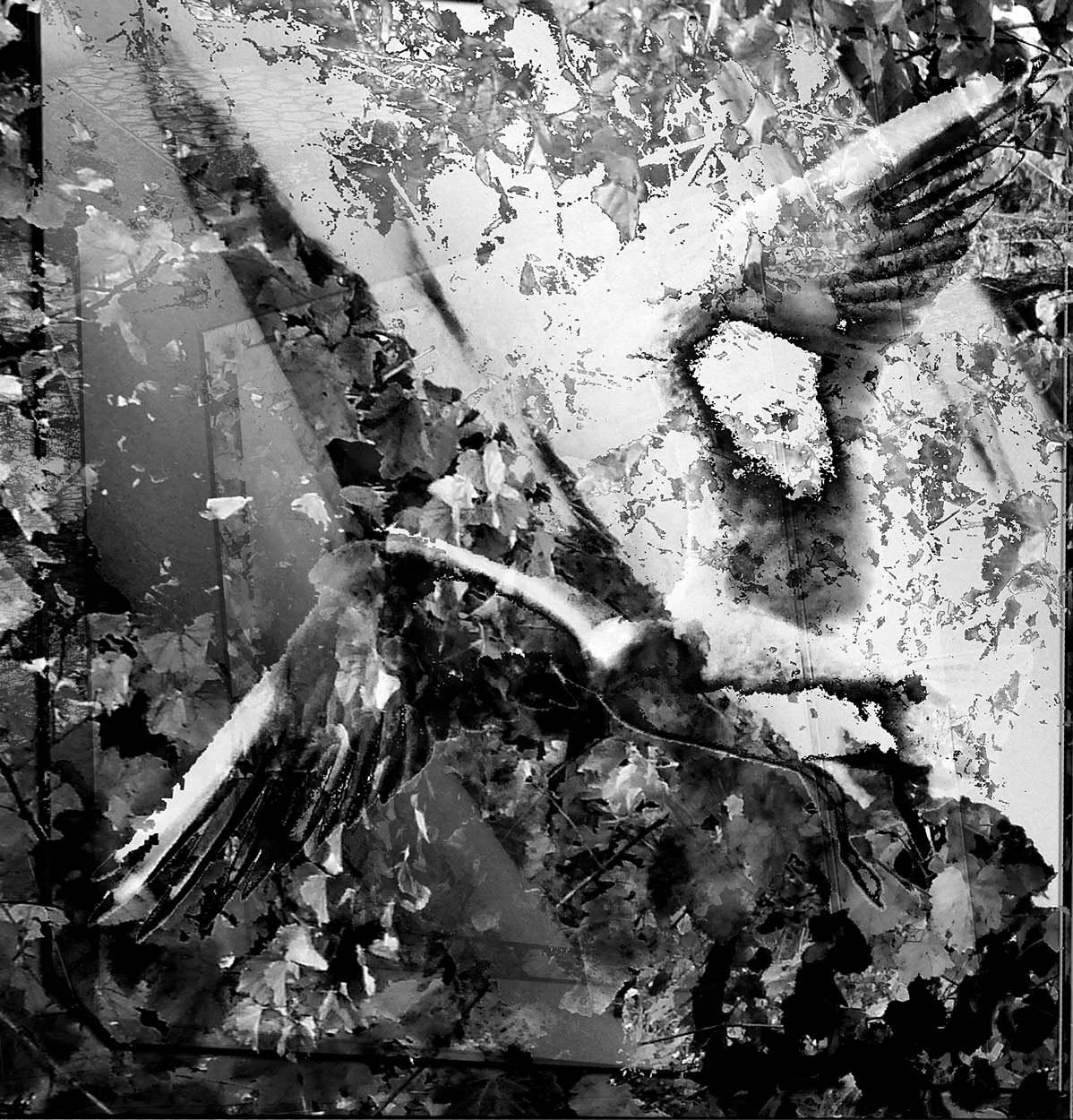 frammenti di un volo