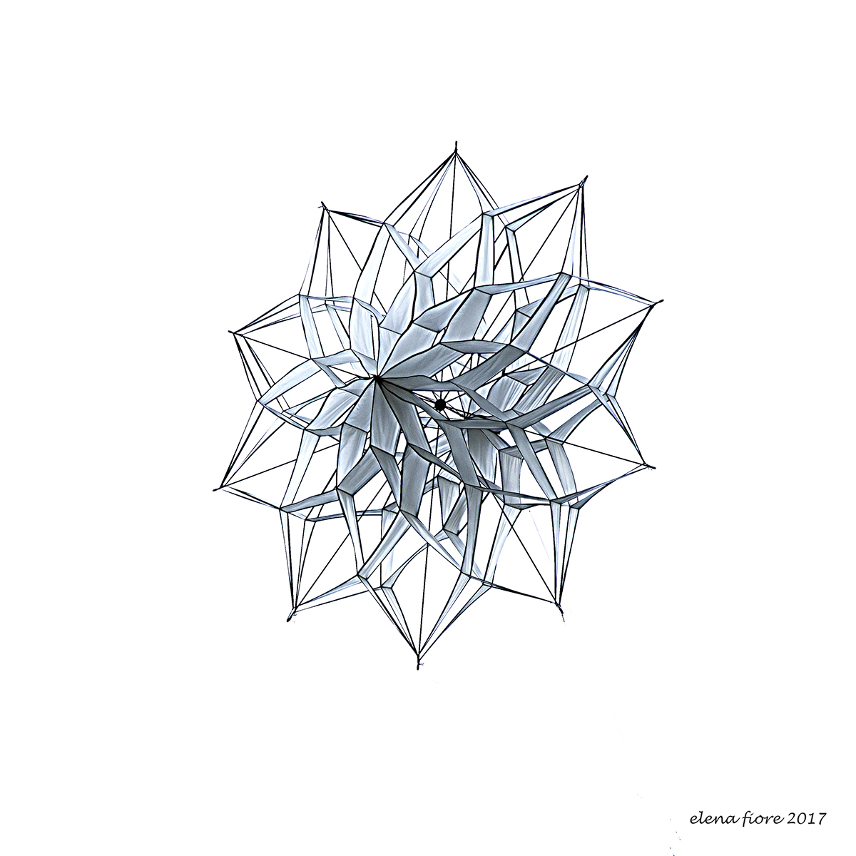 semplicemente aquilone