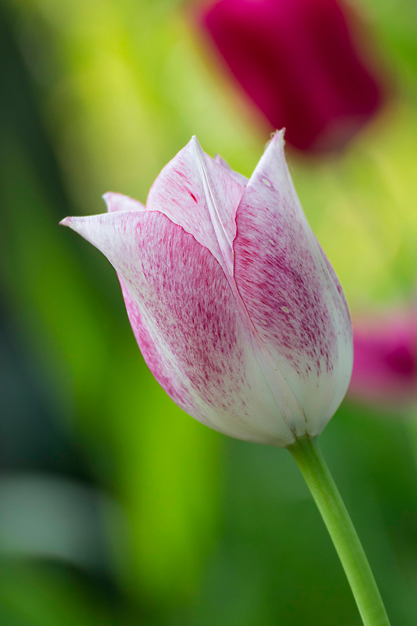 Parco sigurt� foto 3