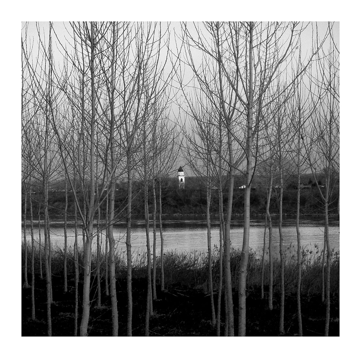 lontani rintocchi...