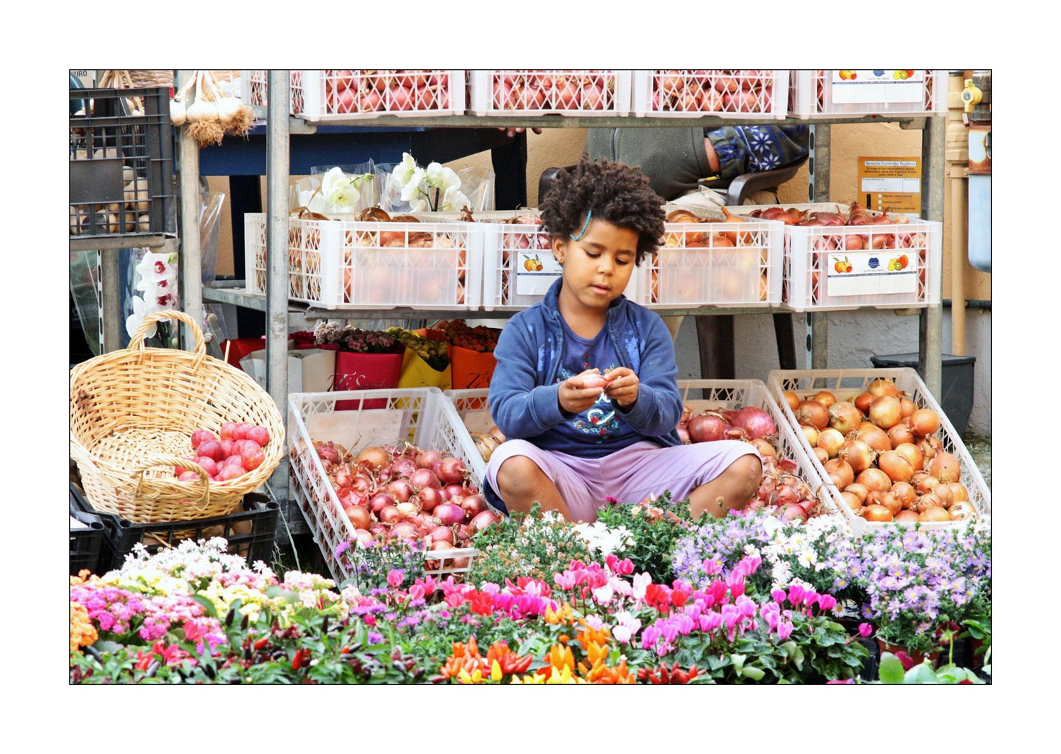 per me � la cipolla !!! ;/)