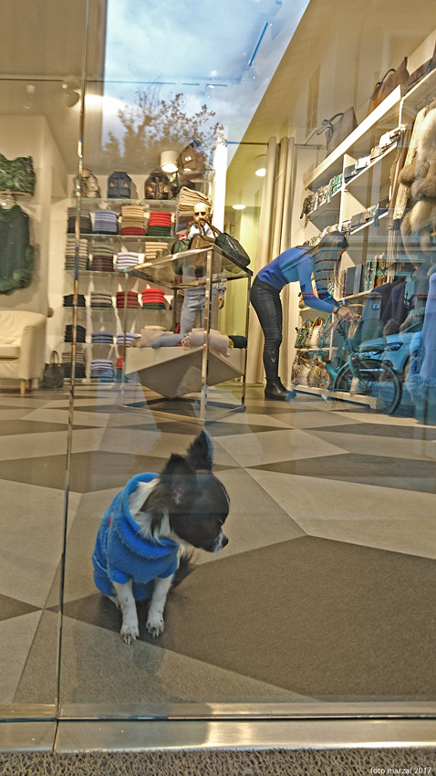 lei&lei ..o lui&lei ?