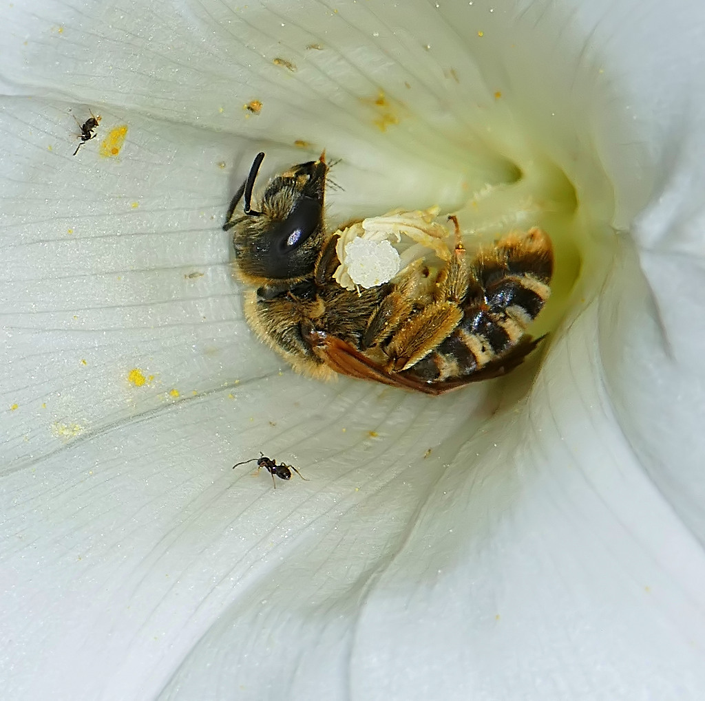 ***Hey...voi due...***