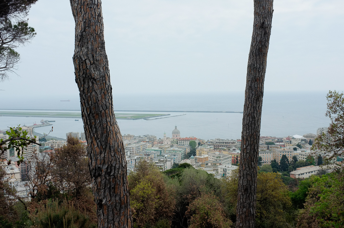 Vista di Pegli da villa Pallavicini (2)
