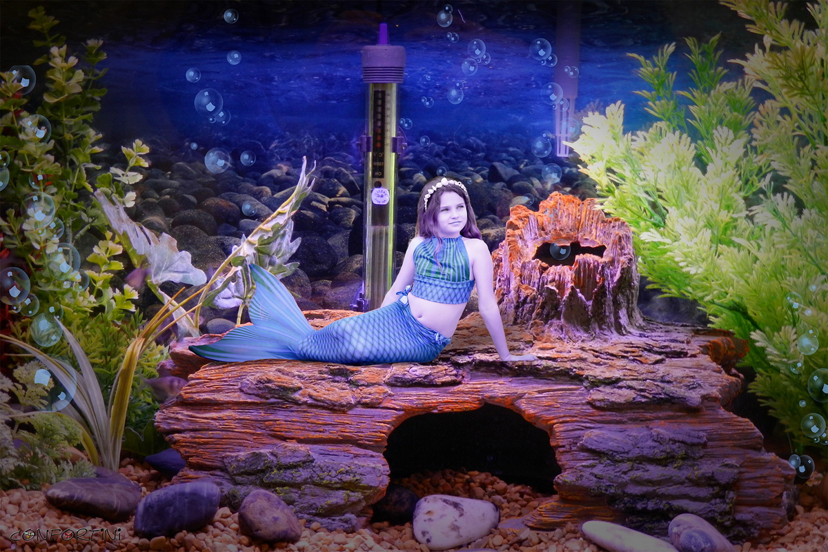 Sirena nell'acquario