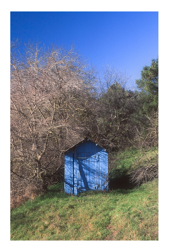 Mar. di Ravenna (inverno 2015/16)