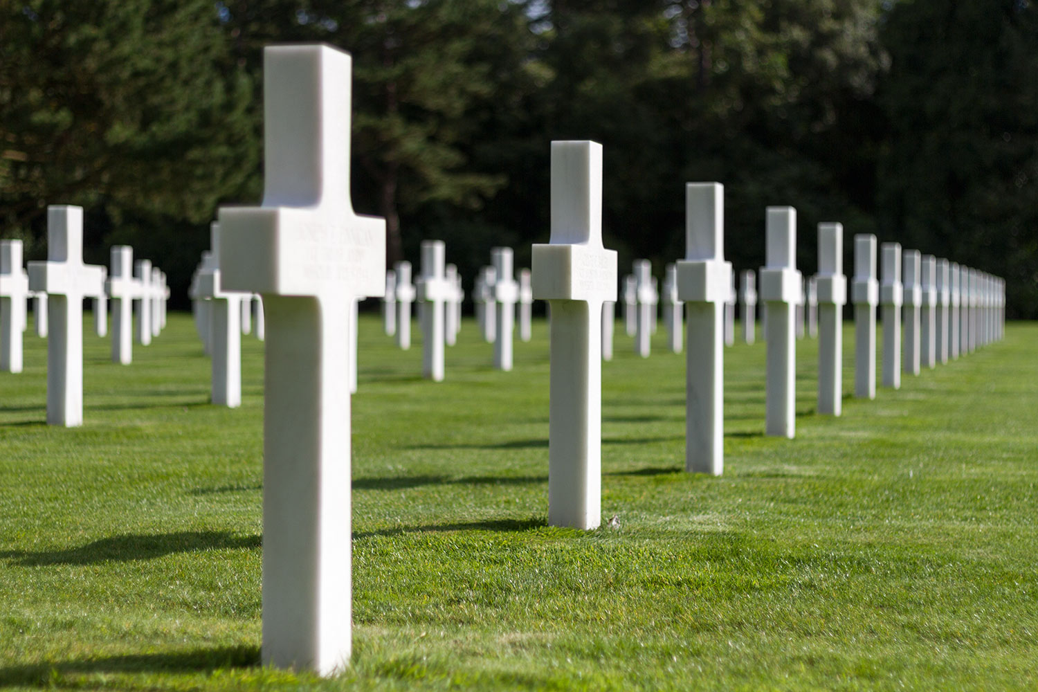 Cimiti�re Am�rican de Normandie 1/2