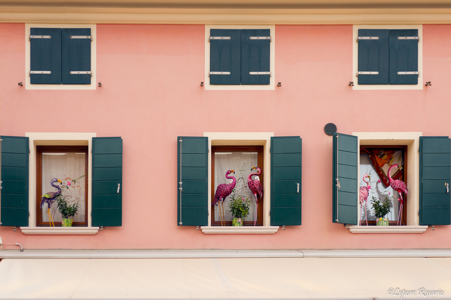 La casa dei fenicotteri