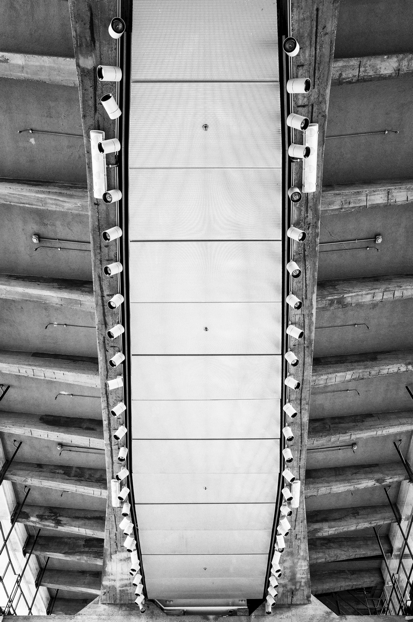 Nel ventre della balena