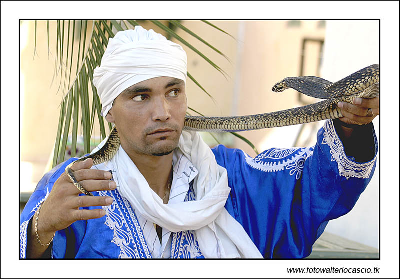 Incantatore di serpenti