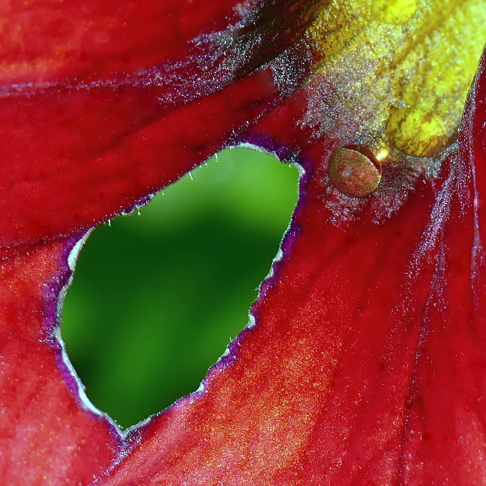 ***L'erba del vicino � sempre pi� verde***