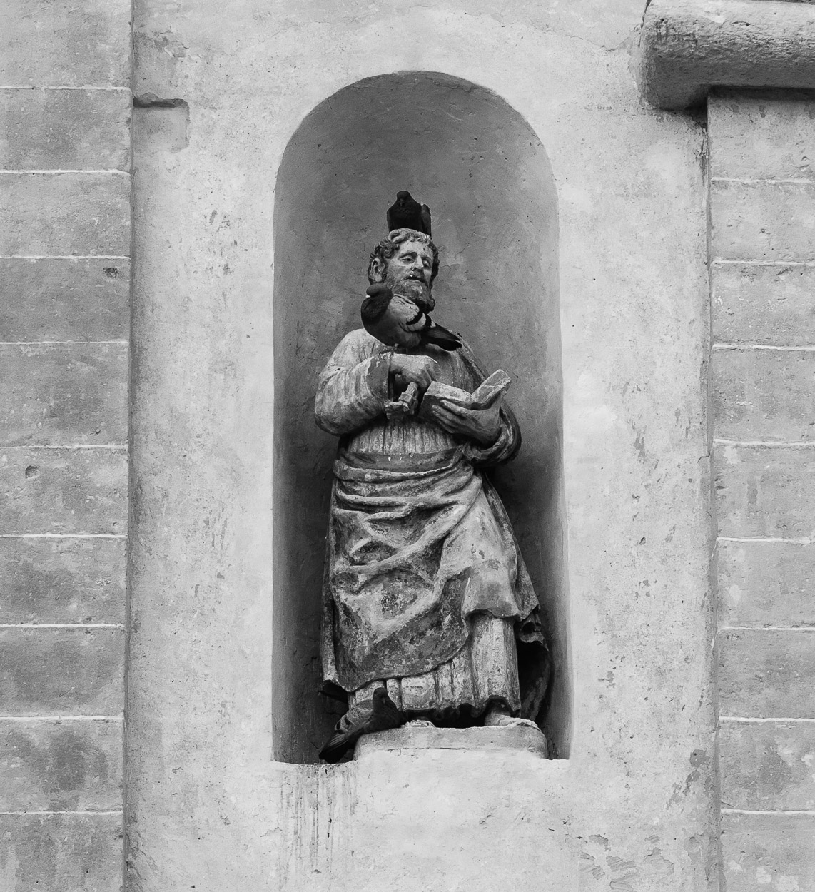 santa pazienza