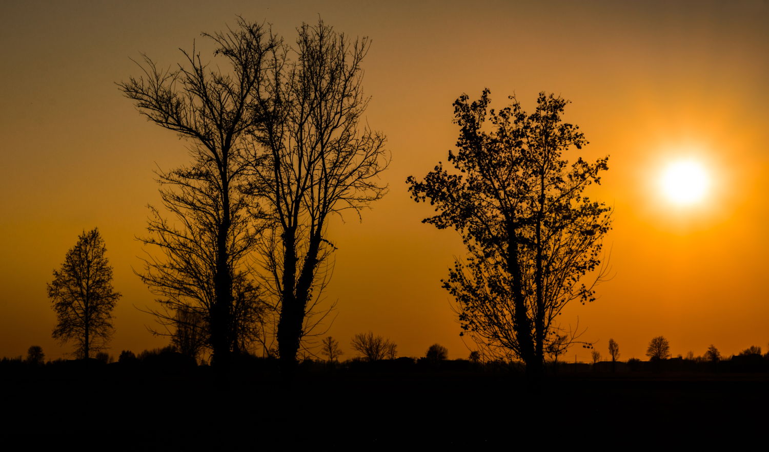 Panorami inaspettati dietro casa