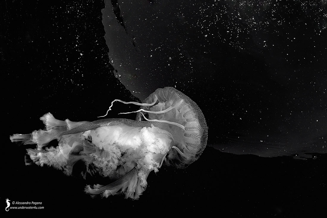 Verso l'infinito e oltre.........