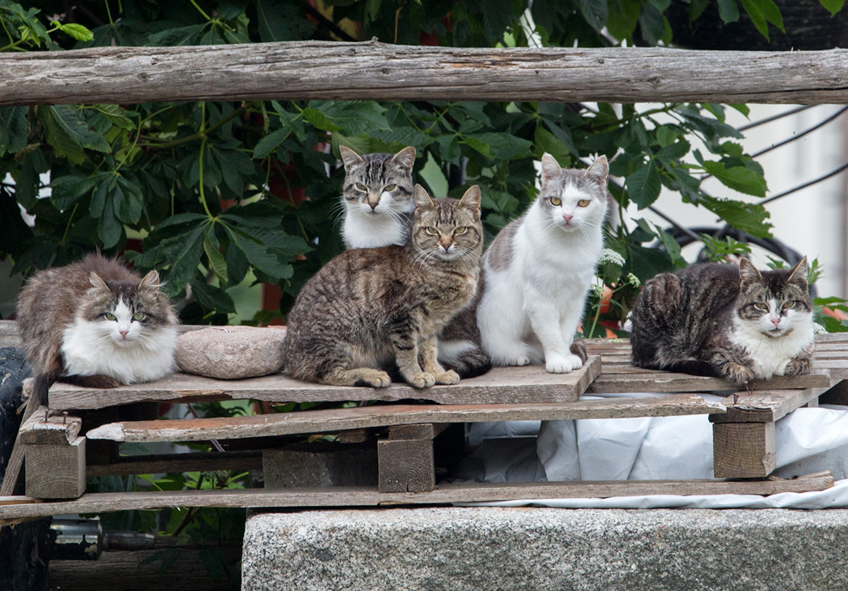 " 3..2..1.. cheeeese"