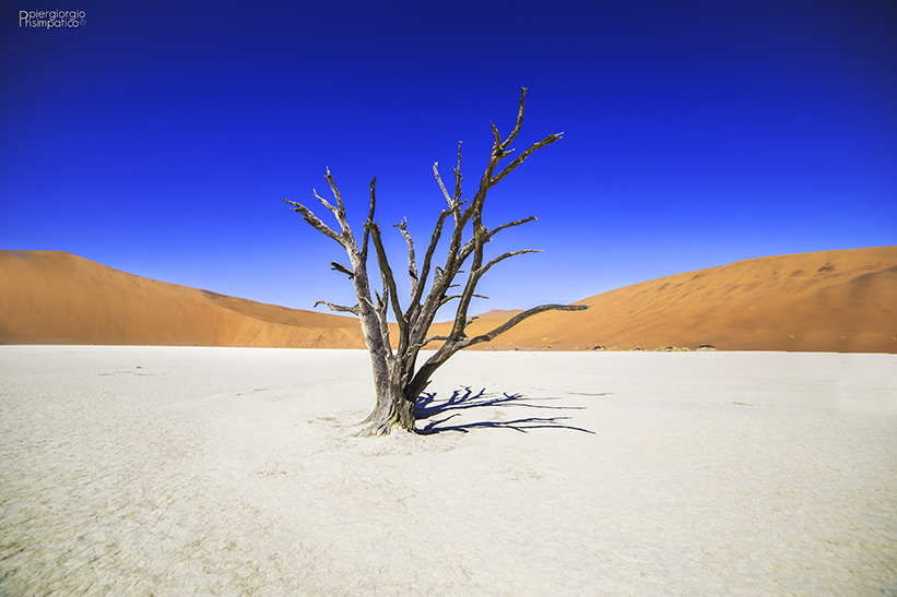 Dead Vlei