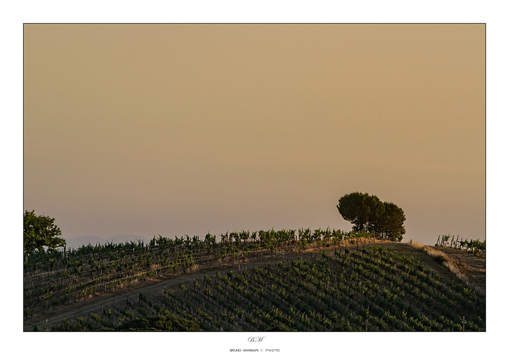 Un semplice buongiorno