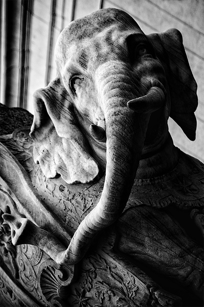 Elefantino_Bernini_Roma