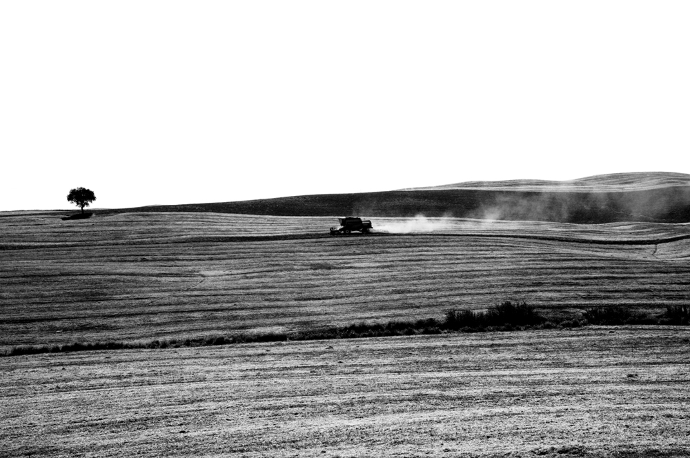 metamorfosi della terra - sulle strade di giacomelli - 5