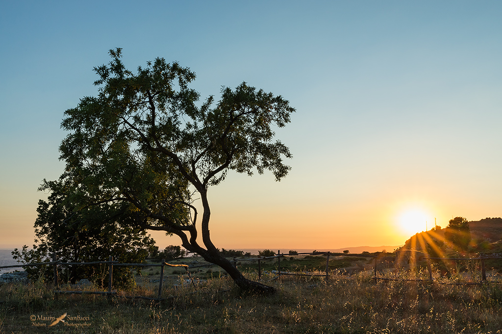 Solitario sul balcone