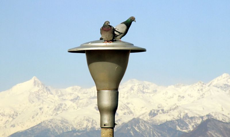 Un posto privilegiato.