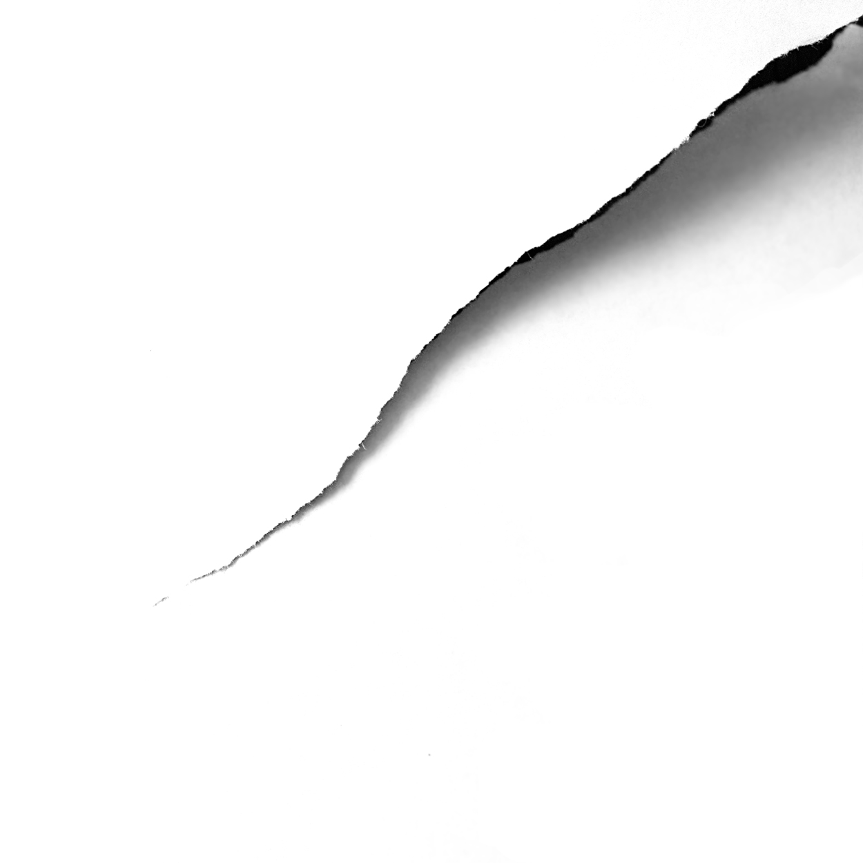 (In) Seguendo Teresa Zanetti