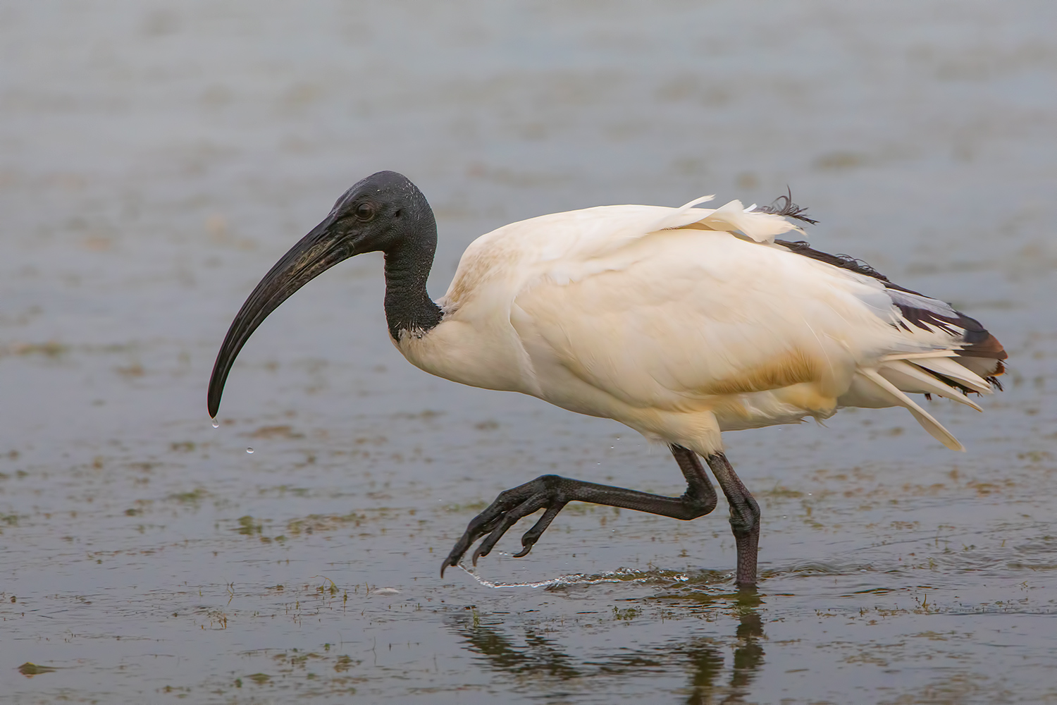 tempo di ricordi......